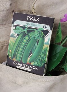 a seed packet sitting in the pocket of someone's khaki pants with purple tulips