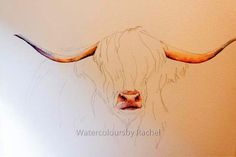 a drawing of a bull's head with long horns