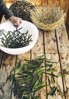 someone is holding a white bowl full of green plants on a wooden table next to some twigs