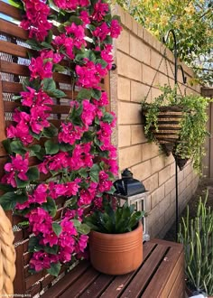 pink flowers are growing on the side of a brick wall next to potted plants