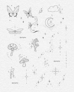 an ink drawing of different types of butterflies and moths on white paper with stars, crescents