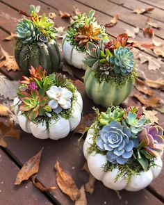 four white pumpkins with succulents and plants in them on a wooden table