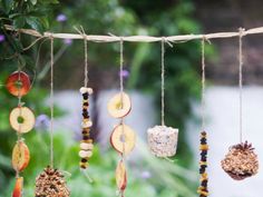 an assortment of bird seed hangings on a rope with flowers in the back ground