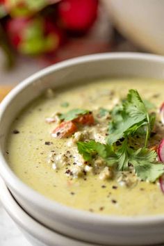 a white bowl filled with soup and garnished with cilantro, radishes and parsley