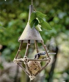 a bird feeder hanging from the side of a tree