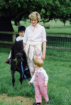 there is a woman and two children that are standing next to a horse in the grass