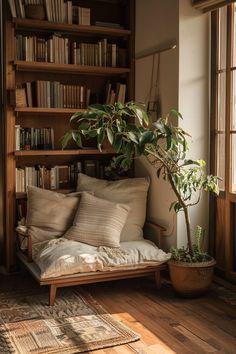 a living room with bookshelves and a couch in front of a window filled with plants