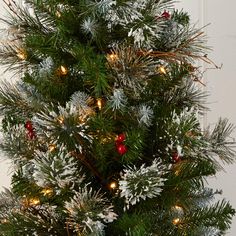 a small christmas tree with lights and snow flakes on it's branches in front of a white wall