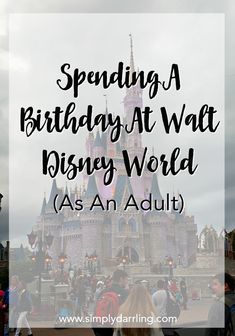 people standing in front of a castle with the words spending a birthday at walt world as an adult