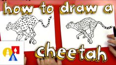 how to draw a cheetah for kids