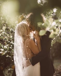 a bride and groom kissing in the sun through some leaves on a tree branch with their veil draped over them