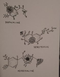 the diagram shows different types of flowers and their names in black ink on white paper