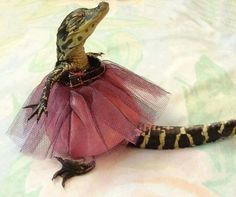 a small lizard sitting on top of a pink tutu skirt with an insect in it's mouth