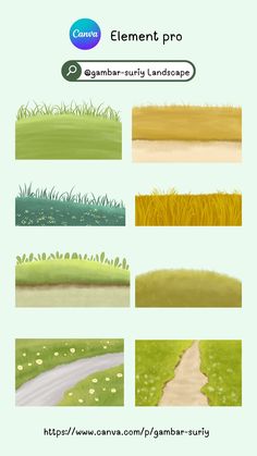 an image of different types of grass on the same page, with text that reads element pro