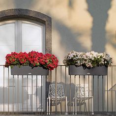 two planters with red and white flowers sitting on a balcony next to a door