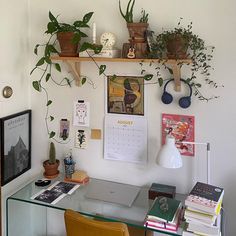 a glass desk topped with lots of plants next to a wall mounted calendar and clock