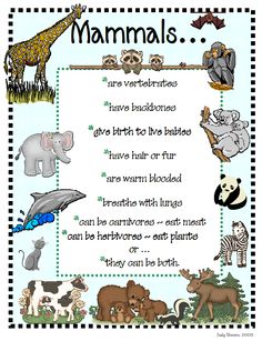 a poster with animals and words describing the baby's names in english or spanish