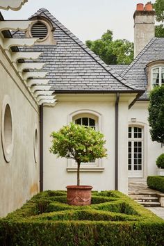 a house with hedges and a tree in the front yard