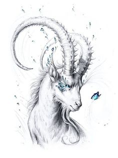 a drawing of a goat with long horns