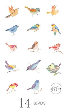 the birds are all different colors and sizes on this card, which is printed in watercolor