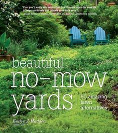 beautiful no - mow yards 50 amazing lawn alternatives