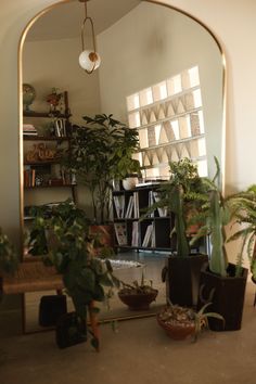 a mirror reflecting plants in a living room