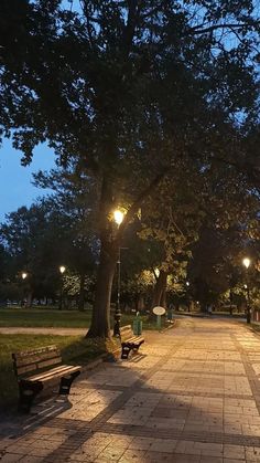 an empty park with benches and lights at night