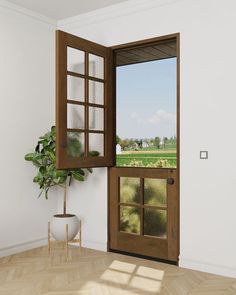 an open door with a potted plant next to it in front of a window