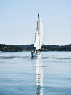 a sailboat sailing on the water with trees in the background