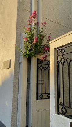 a potted plant on the side of a door with wrought iron bars and windows