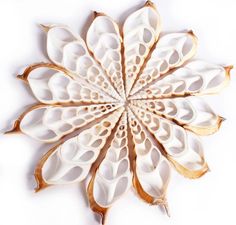 a white and brown flower shaped object on a white surface