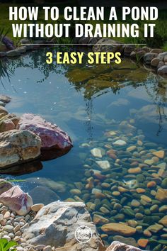 a pond with rocks and water in it that says how to clean a pond without draining it