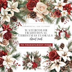 watercolor christmas florals and pine cones clipart example graphic kit for commercial use