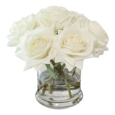 white roses in a clear glass vase on a white background