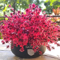 a potted plant with red flowers sitting on a wooden table in front of some trees