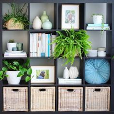 the instagram page on instagram com shows an image of plants and bookshelves