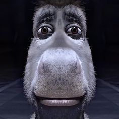 a close up of a monkey's face with an odd look on its face