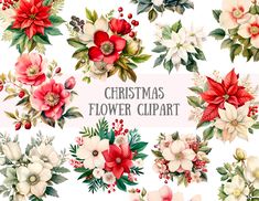 the christmas flower clipart collection is available for all types of flowers and foliages