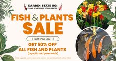 the garden state koi fish and plants sale is up to 50 % off all fish and plants