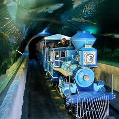 a blue train traveling through a tunnel filled with fish