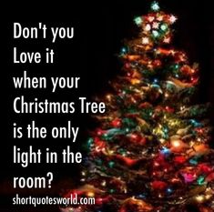 a christmas tree is lit up with lights and the words don't you love it when your christmas tree is the only light in the room?