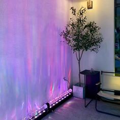 a room with a plant and some lights on the wall