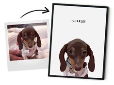 an image of a dachshund dog with the name charley on it