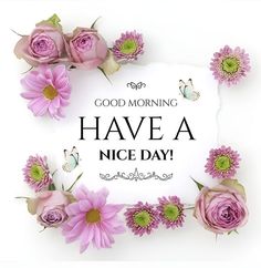 pink flowers and daisies frame the words good morning have a nice day