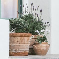 two large pots with plants in them sitting on the steps outside an open window sill