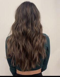 Dimension In Brown Hair, Low Light On Brown Hair, Medium Length Brown Hair Curled, Brown Hair With Subtle Dimension, Light Brown Highlights In Dark Brown Hair, Highlights Brown Hair Subtle, Natural Brown Hair With Dimension, Brunette Hair No Highlights, Low Light Brown Hair