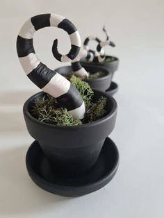 three black and white planters with plants in them