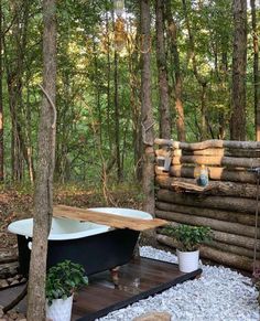 a bathtub in the middle of a wooded area