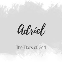 the word adrell in black and white on a gray background with brush strokes