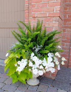 a potted plant with white flowers and greenery in front of a brick building